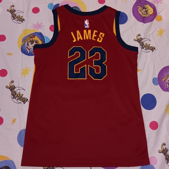 Nike Icon Lebron King James Cleveland Cavaliers Swingman Basketball Jersey - Picture 2 of 8